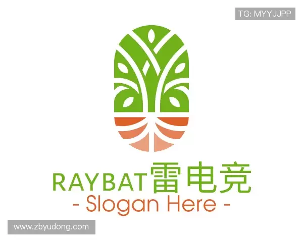 关于raybat雷电竞